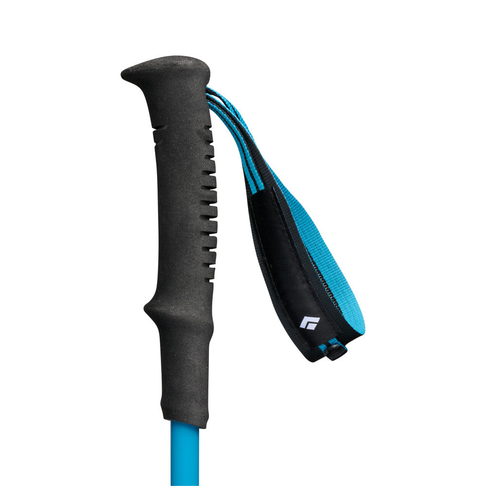 Black Diamond Distance Carbon FLZ Poles