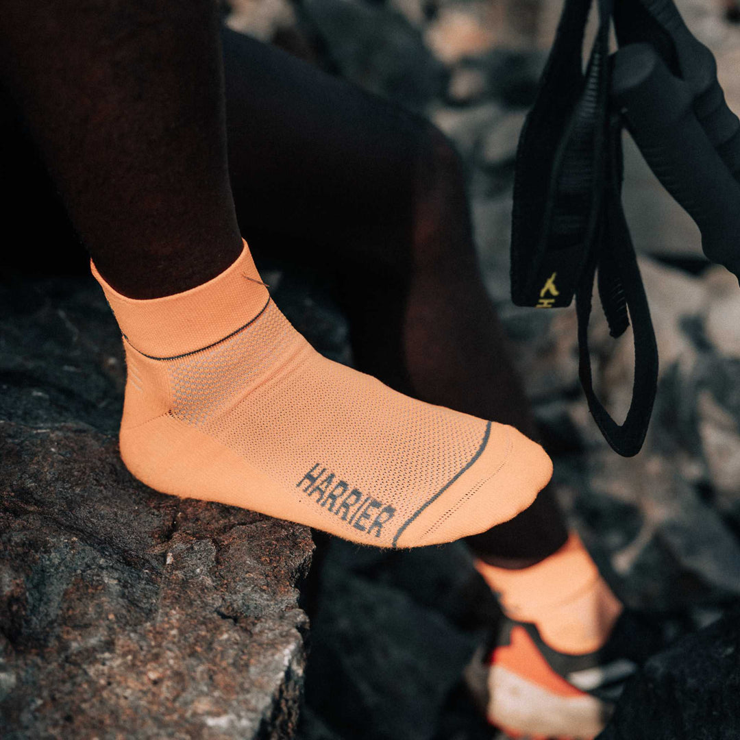 Harrier Single Layer Socks 3 pack