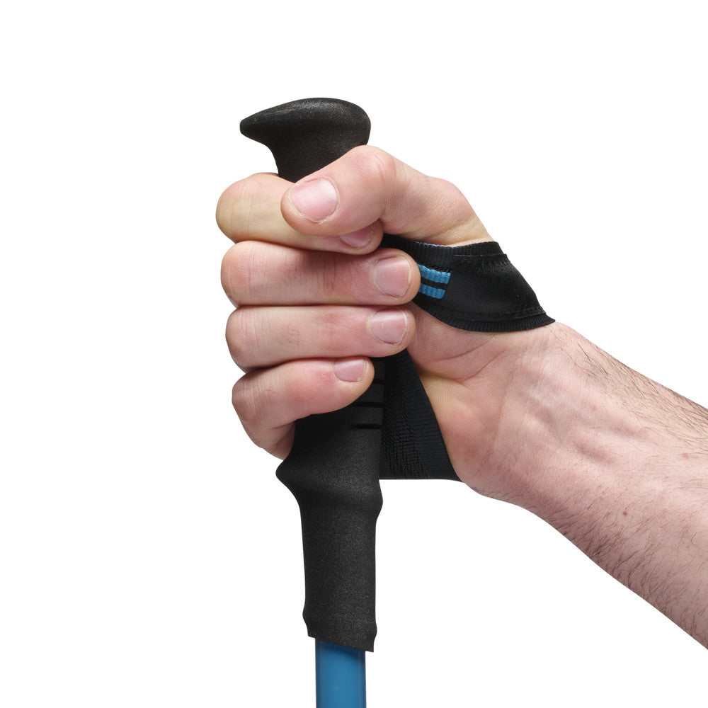 Black Diamond Distance Carbon FLZ Poles 2025
