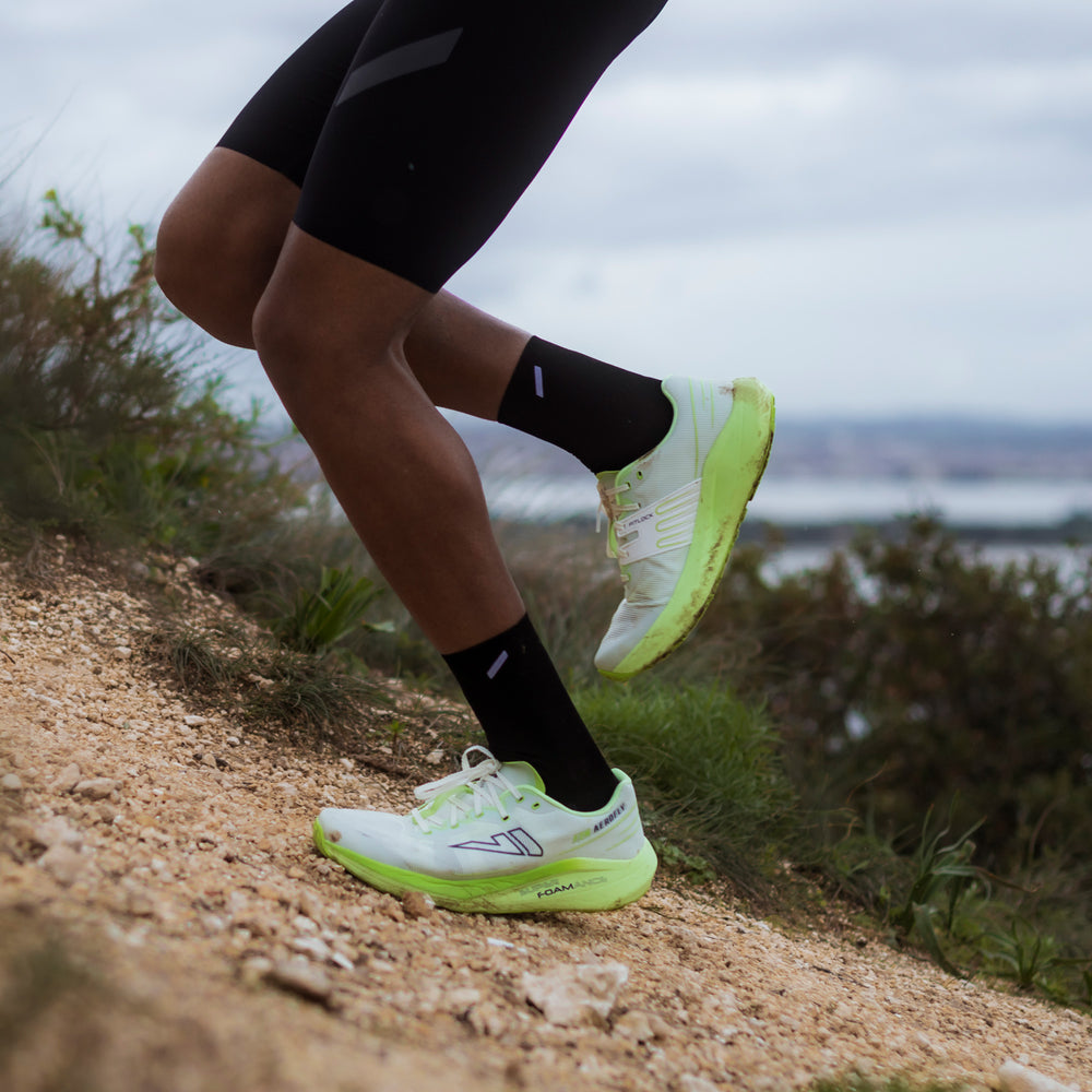 VJ Fuzion Aerofly SS26