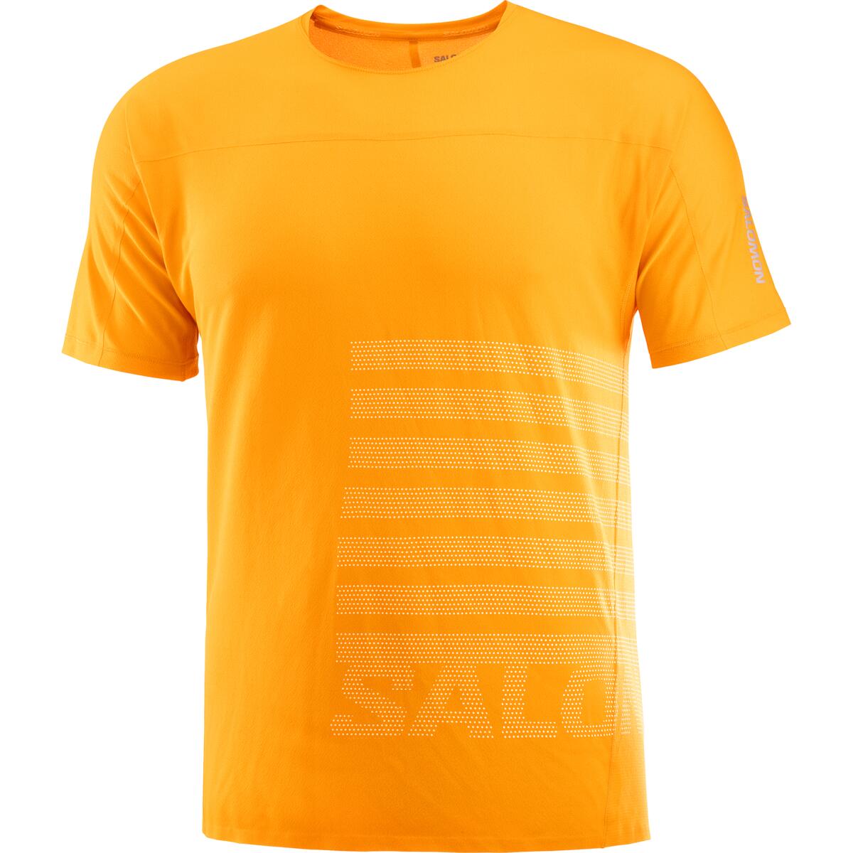 Salomon Sense Aero SS Tee Mens SS24 Zinnia
