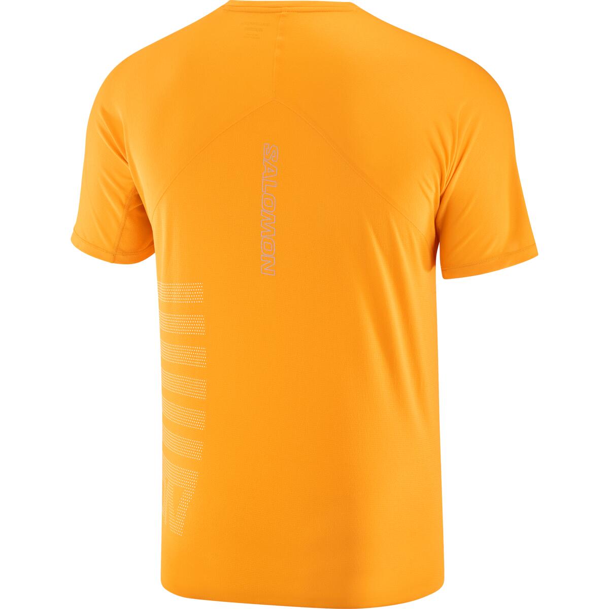 Salomon Sense Aero SS Tee Mens SS24 Zinnia