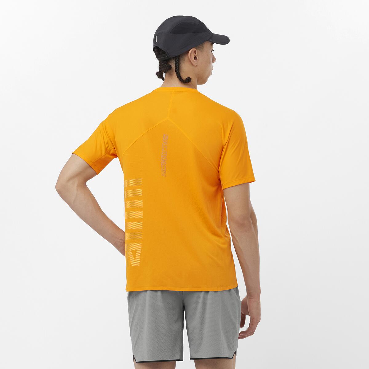 Salomon Sense Aero SS Tee Mens SS24 Zinnia