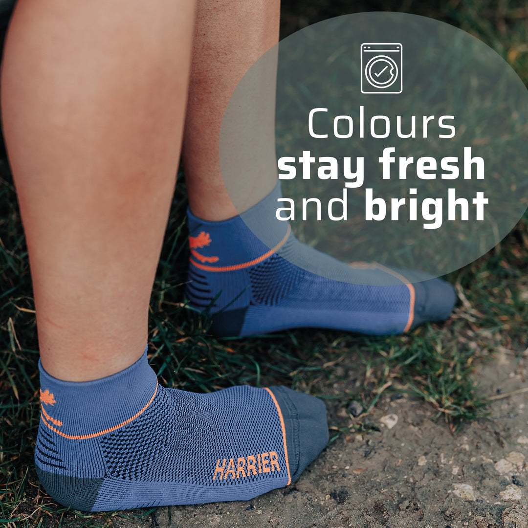 Harrier Double Layer Socks 2 pack