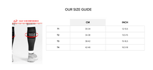 Compressport Calf Sleeve: R2 Oxygen 2023
