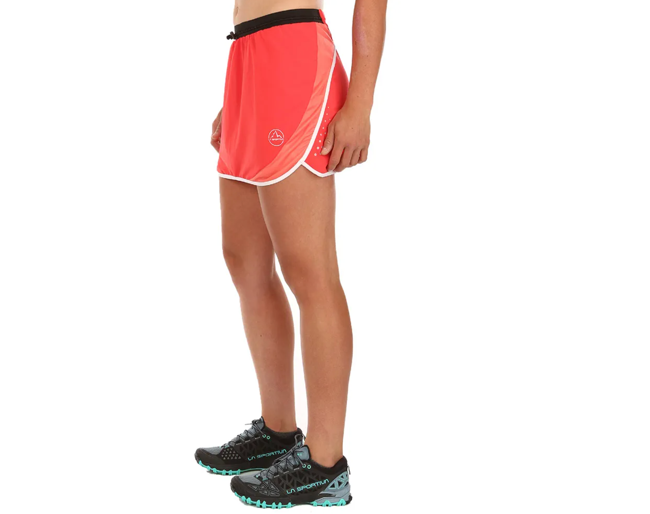 La online sportiva comet