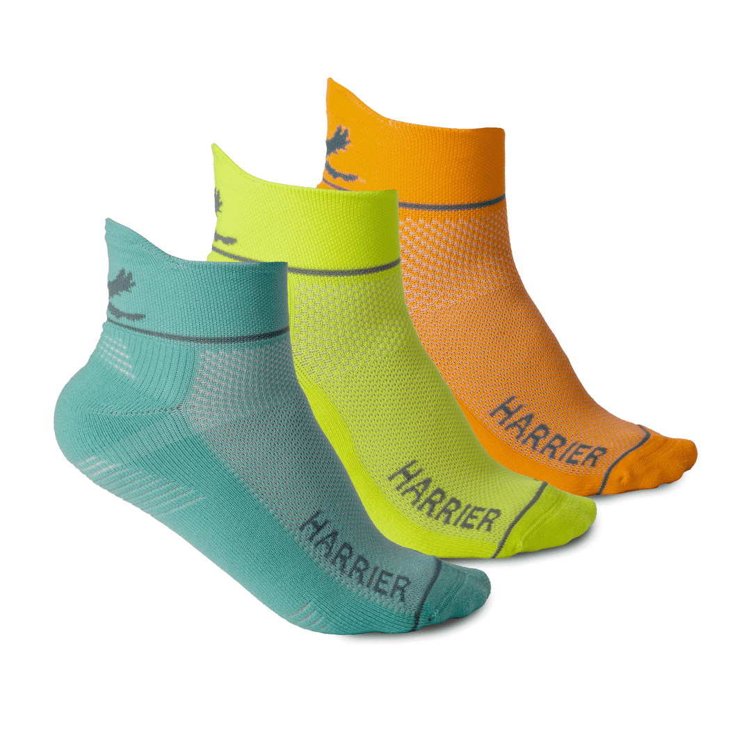 Harrier Single Layer Socks 3 pack