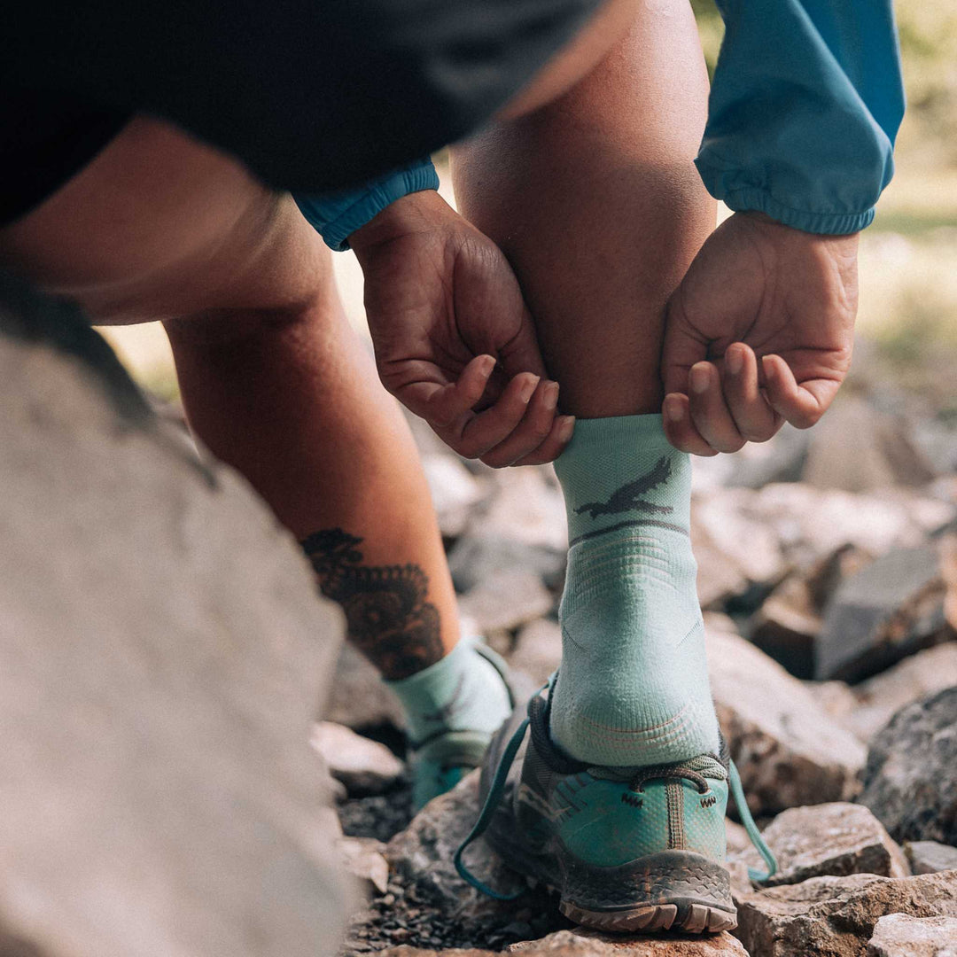 Harrier Single Layer Socks 3 pack