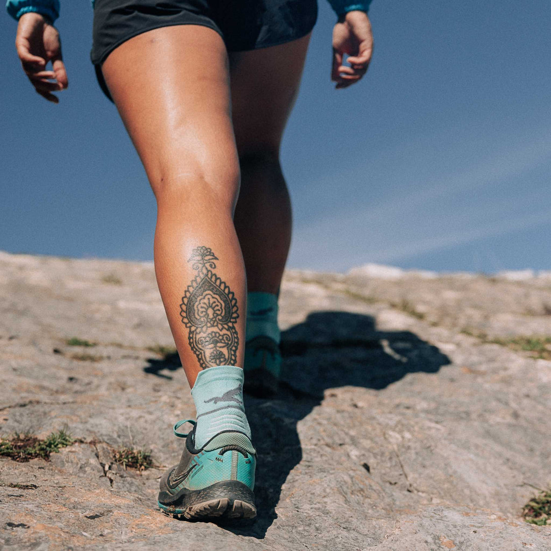 Harrier Single Layer Socks 3 pack