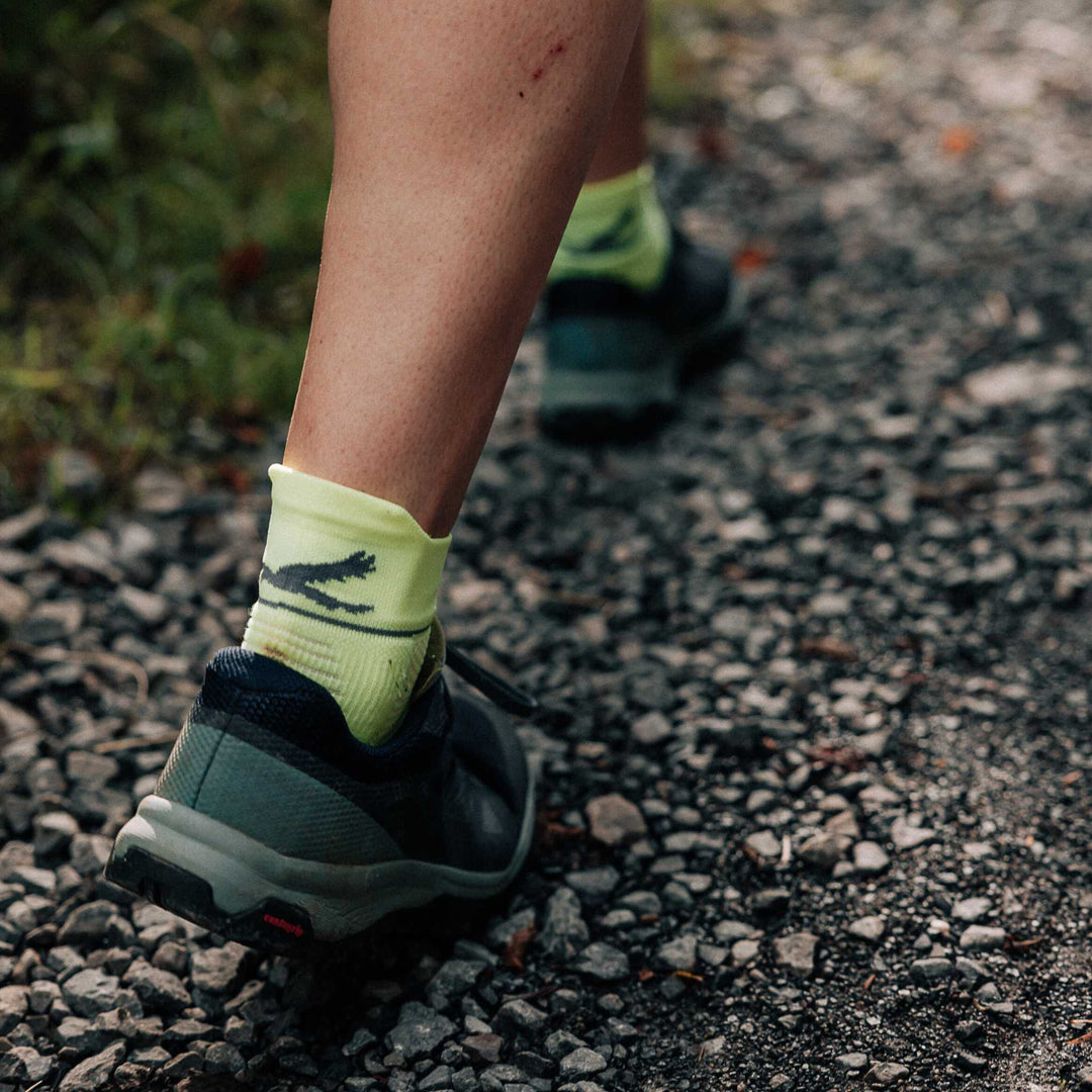 Harrier Single Layer Socks 3 pack