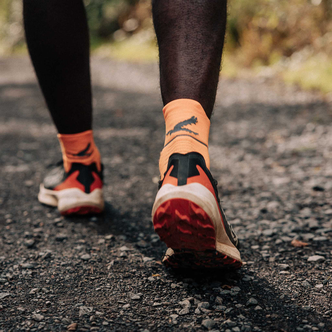 Harrier Single Layer Socks 3 pack