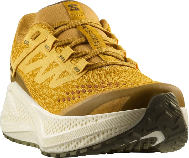Salomon Aero Glide 3 GRVL Mens SS25