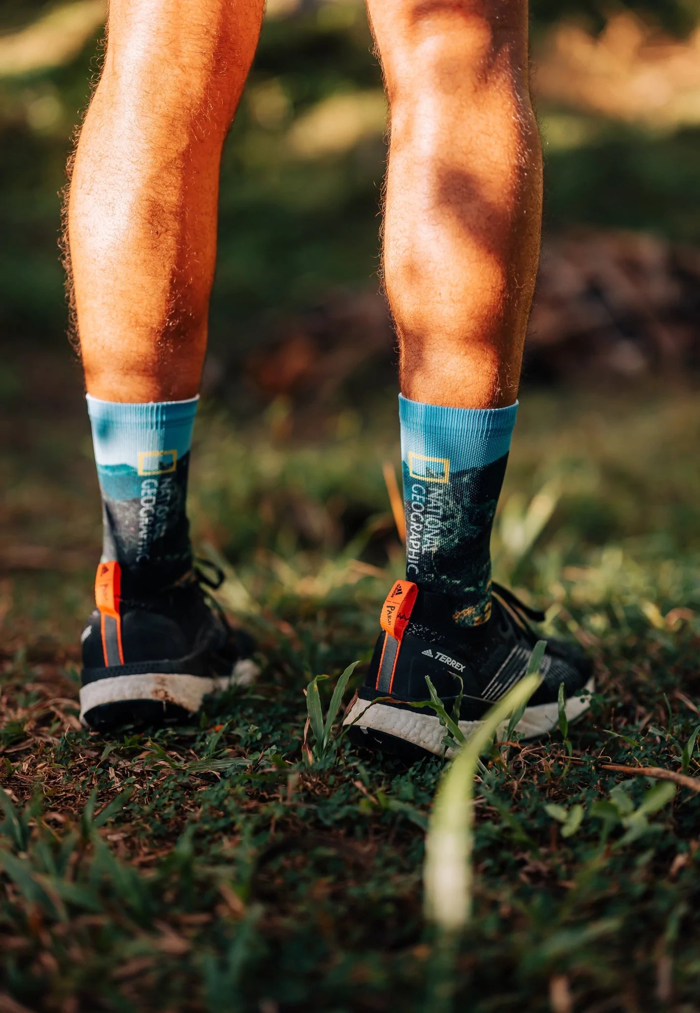 Stance Socks Crew Cut - Poppy Trails/ Nat Geo - Centurion Running Ltd