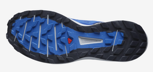 Salomon Sense Ride 4 Mens