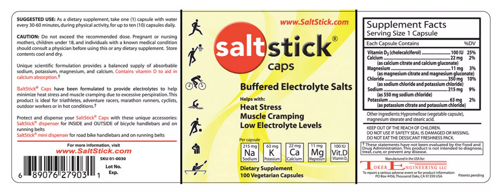 Salt Stick Caps - 100 Caps