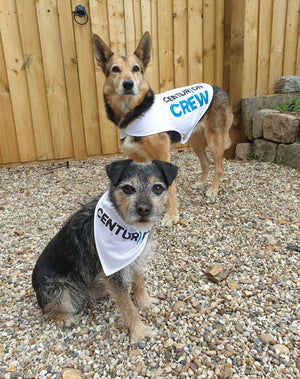 Centurion Running Upcycled Dog Crew Coats