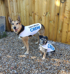 Centurion Running Upcycled Dog Crew Coats